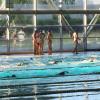 IMG 7536